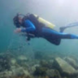 Meet your Posher, Ann marie